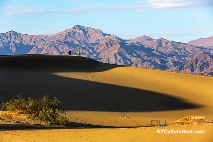 Mesquite Flat Sand DunesYMJNYC2524.jpg