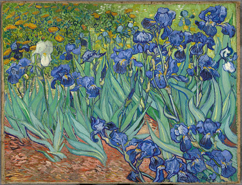 Irises-Vincent_van_Gogh1889-getty.jpg