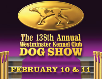 dogshow138.png