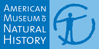 AMNH-logo2.png