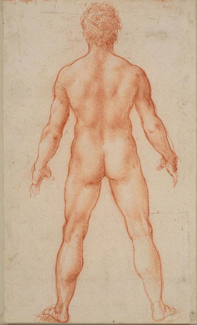 Leonardo-male-nude-lo-res.jpg