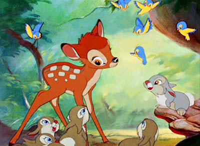 Bambi-bambi-5777796-1280-960.jpg