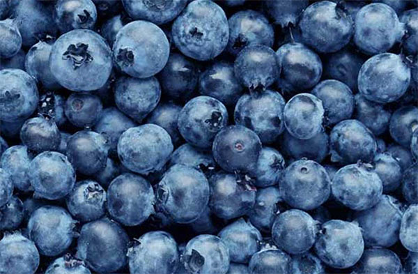 blueberries.jpg